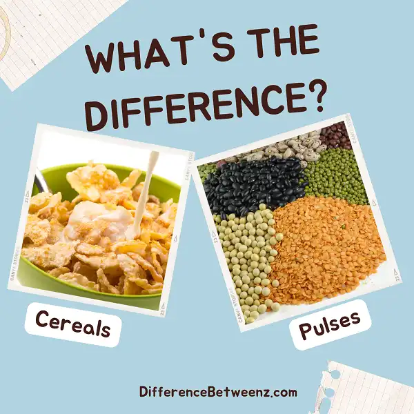 Difference between Cereals and Pulses