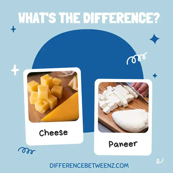 Difference between Cheese and Paneer