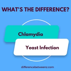 Difference between Chlamydia and Yeast Infection