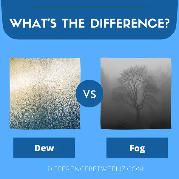Difference between Dew and Fog