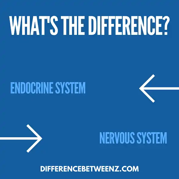 Difference between Endocrine System and Nervous System