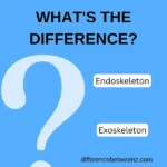 Difference between Endoskeleton and Exoskeleton
