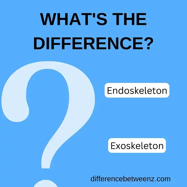 Difference between Endoskeleton and Exoskeleton