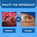 Difference between Malaria and Dengue