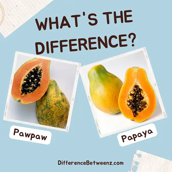 Difference between Pawpaw and Papaya