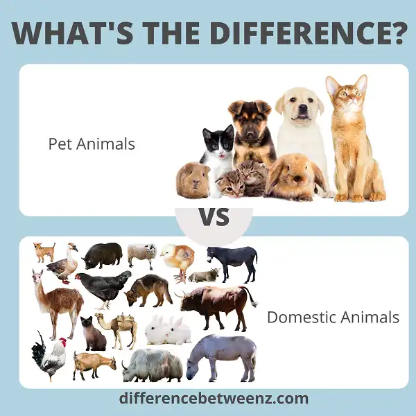 Difference between Pet and Domestic Animals