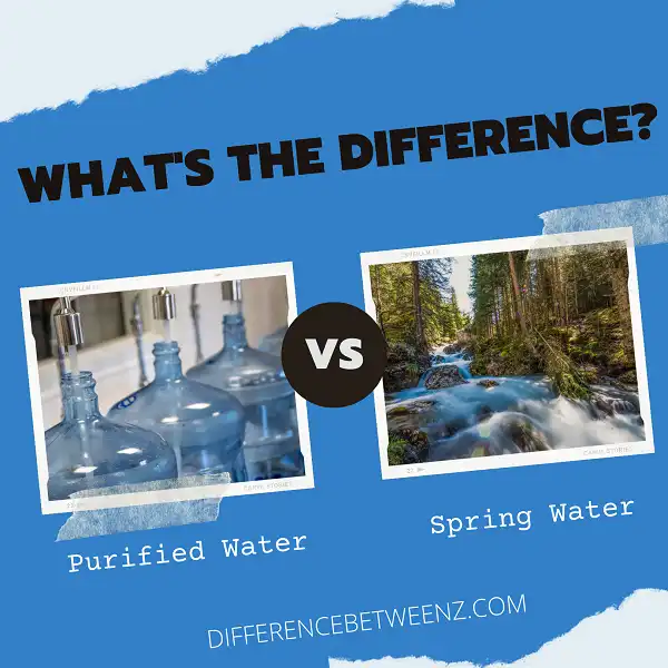 Difference between Purified Water and Spring Water