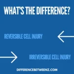 Difference between Reversible and Irreversible Cell Injury