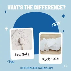 Difference between Sea Salt and Rock Salt
