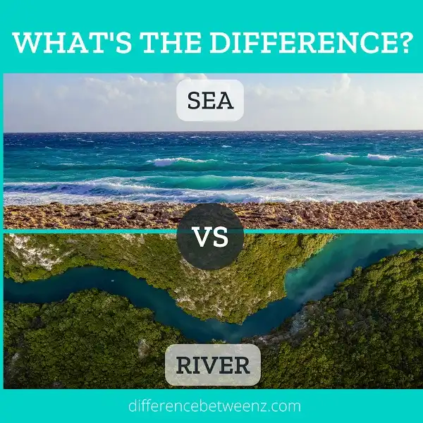 Difference between Sea and River