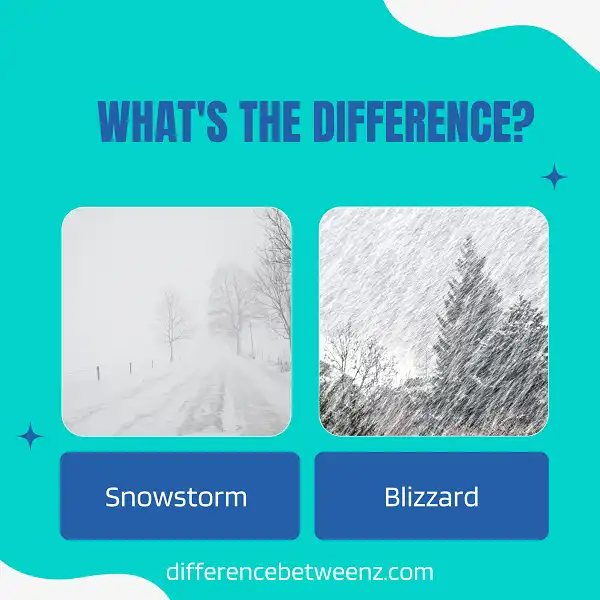 Difference between Snowstorm and Blizzard