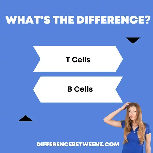 Difference between T Cells and B Cells