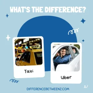 Difference between Taxi and Uber
