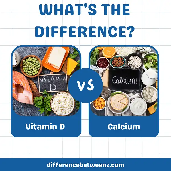 Difference between Vitamin D and Calcium