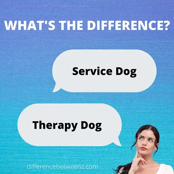 Difference between a Service Dog and a Therapy Dog