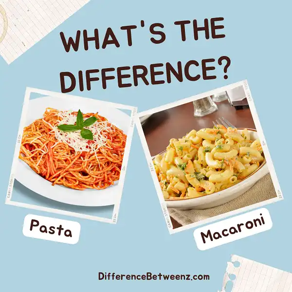 Differences between Pasta and Macaroni