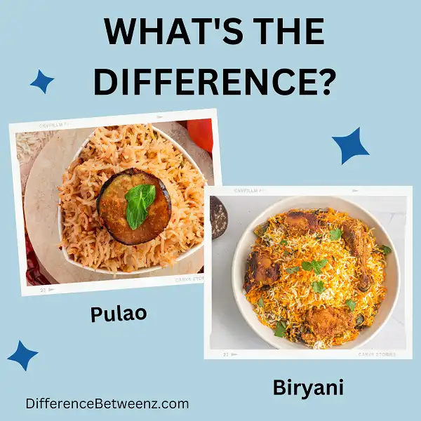 Differences between Pulao and Biryani