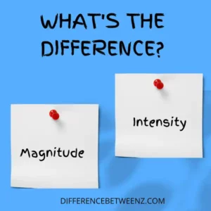 Difference Between Magnitude and Intensity