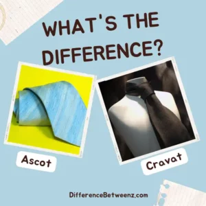 Difference between Ascot and Cravat