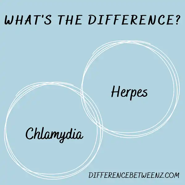 Difference between Chlamydia and Herpes