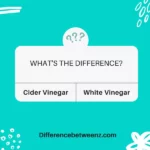Difference between Cider Vinegar and White Vinegar