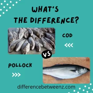 Difference between Cod and Pollock
