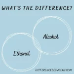 Difference between Ethanol and Alcohol