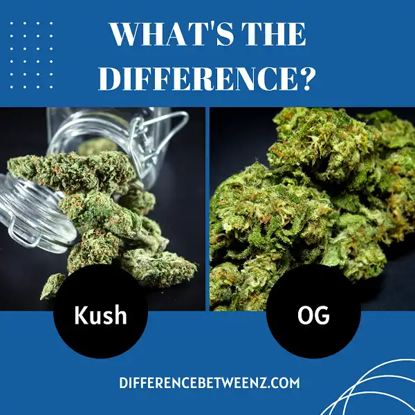 Difference between Kush and OG