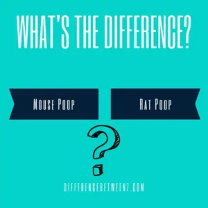 Difference between Mouse and Rat Poop