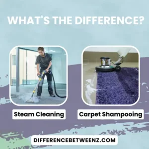 Difference between Steam Cleaning and Carpet Shampooing