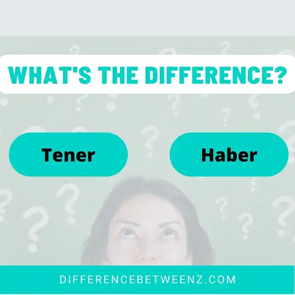 Difference between Tener and Haber