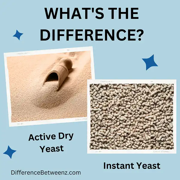 Differences between Active Dry Yeast and Instant Yeast